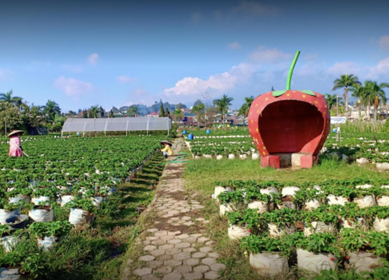Villa Musti Green Apple Cipanas Sindanglaya Bagian luar foto